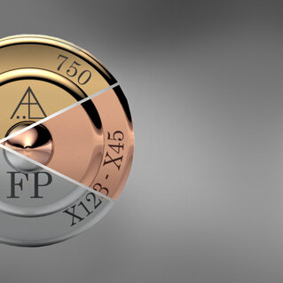 FP Systems earrings clasps